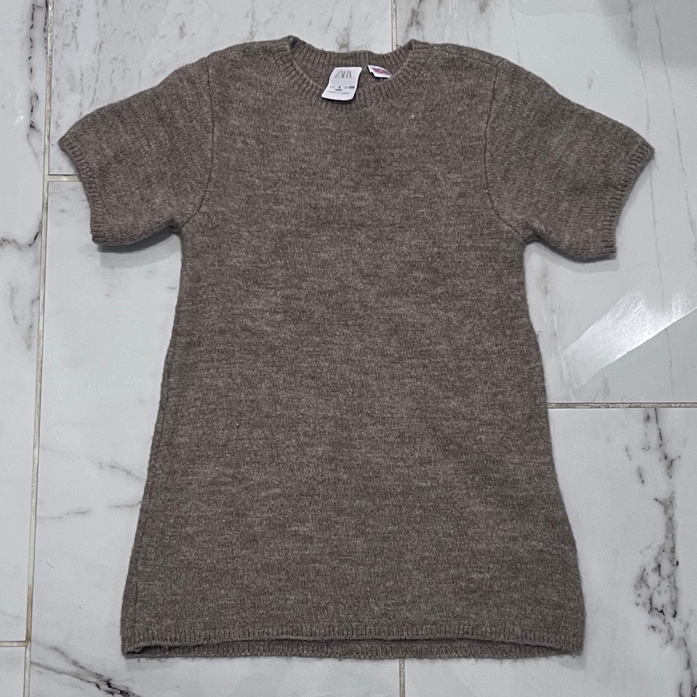 Zara Brown Crewneck Knit Dress